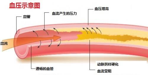 深圳高级健康管理师考试试题