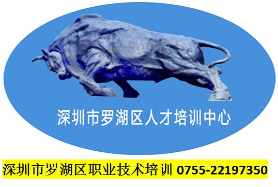 2019年罗湖区职业技术培训