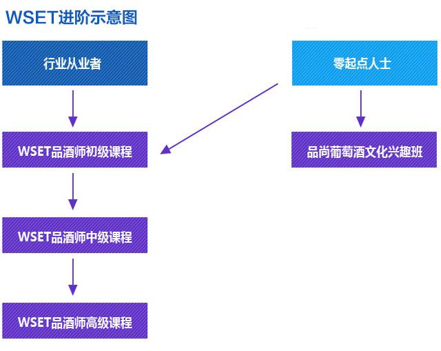 WSET中级品酒师