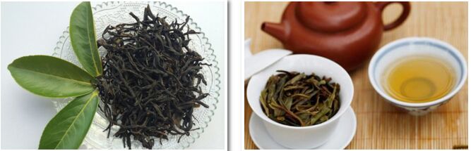 评茶师培训课程