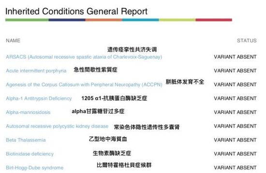 如何看dna检测报告