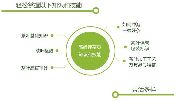 评茶员资格培训