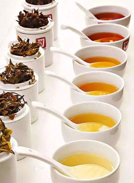 铁观音茶如何品