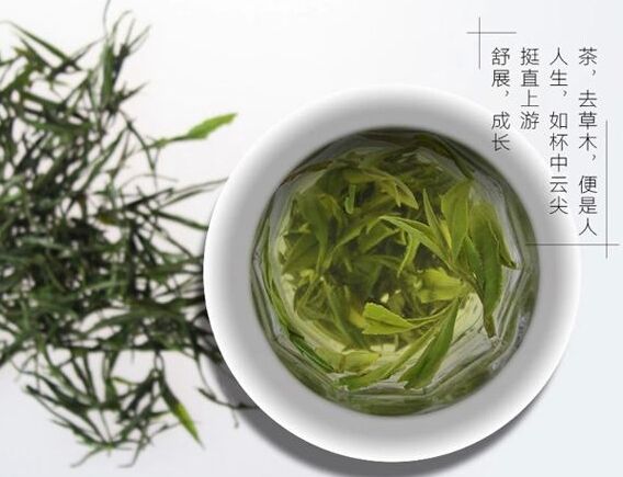 蒸青绿茶三绿的品质特点特征
