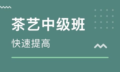 2019茶艺师中级培训班